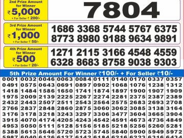 Dear Lottery Chart 2024