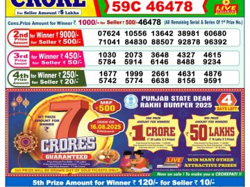 Dear Lottery Chart 2024