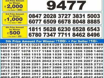 Dear Lottery Chart 2024