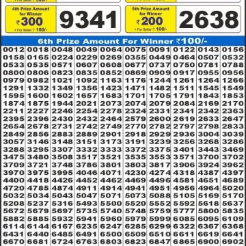 Dear Lottery Chart 2024