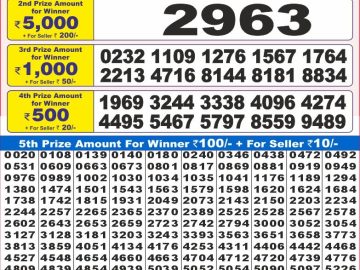 Dear Lottery Chart 2024