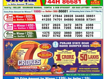 Dear Lottery Chart 2024