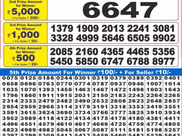 Dear Lottery Chart 2024