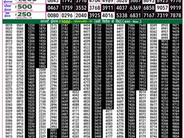 Dear Lottery Chart 2024